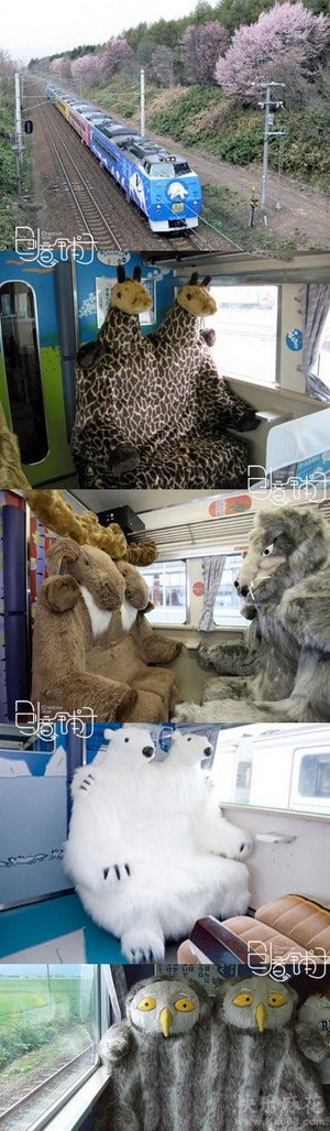 搞笑图片 恶搞图片日本超萌火车,旭山动物园号.