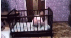 .一个妈妈发现宝宝越狱了