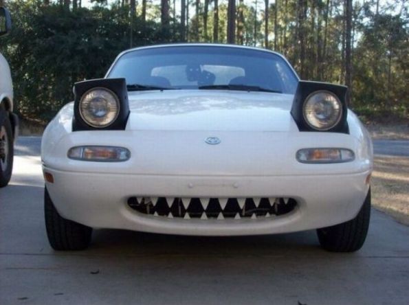 恐怖的食人鱼轿车