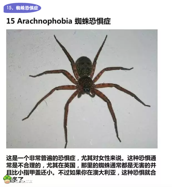 恐惧症类型19种图片